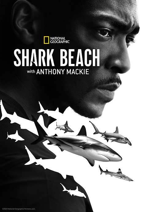 Shark Beach with Anthony Mackie